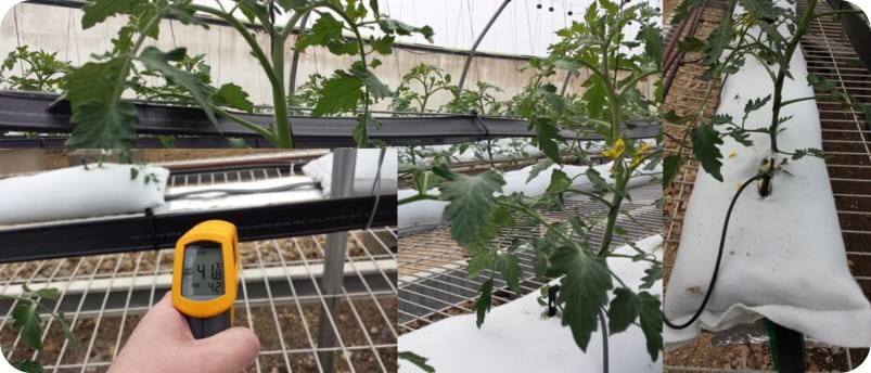 Отопление в оранжерии